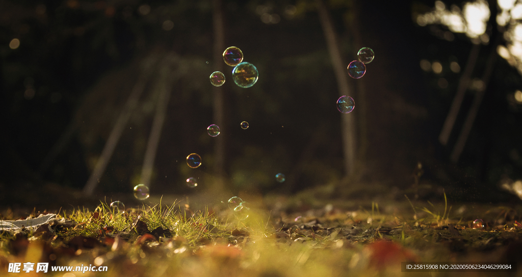 午后泡泡绚丽图片