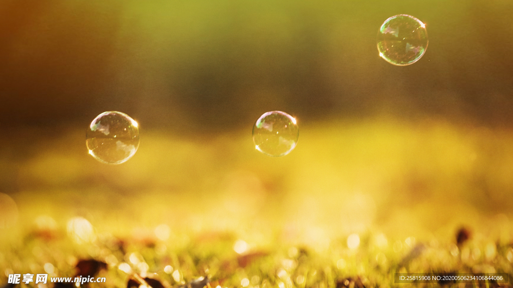 午后泡泡绚丽图片