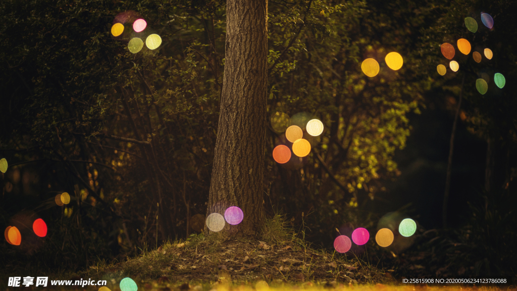 午后泡泡绚丽图片