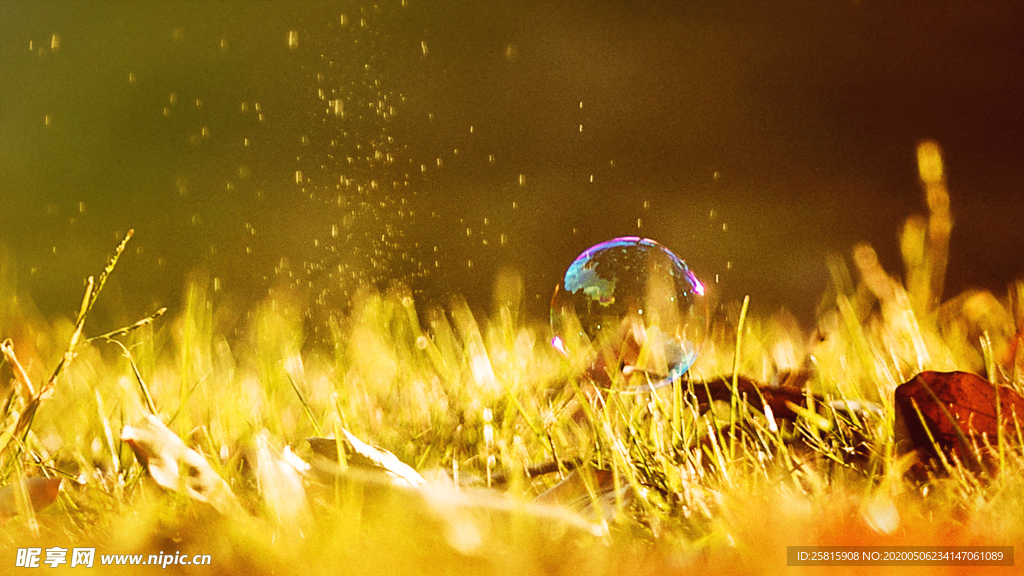 午后泡泡绚丽图片