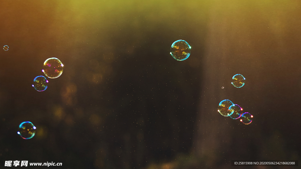 午后泡泡绚丽图片