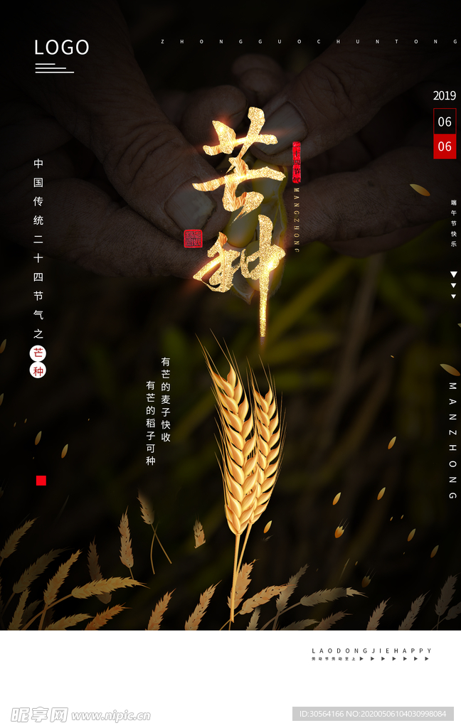 芒种金色麦穗海报