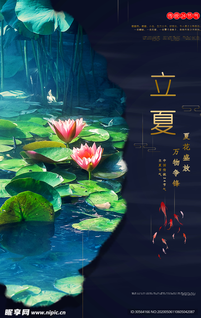 立夏山水荷花海报