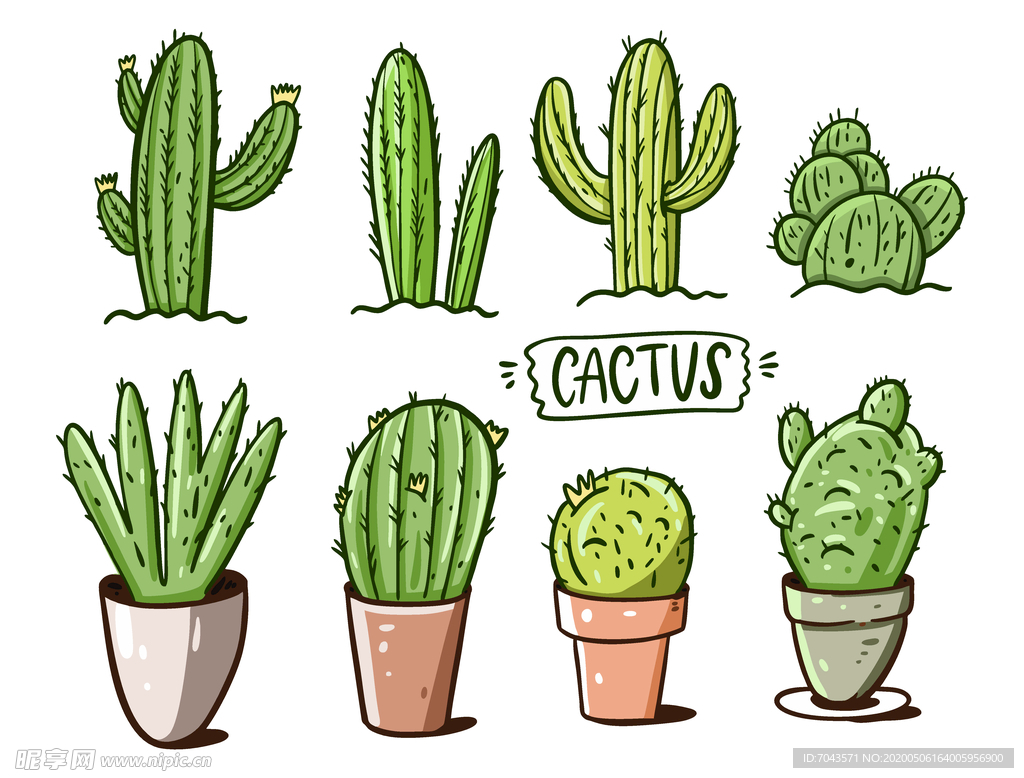 仙人掌插图矢量EPS
