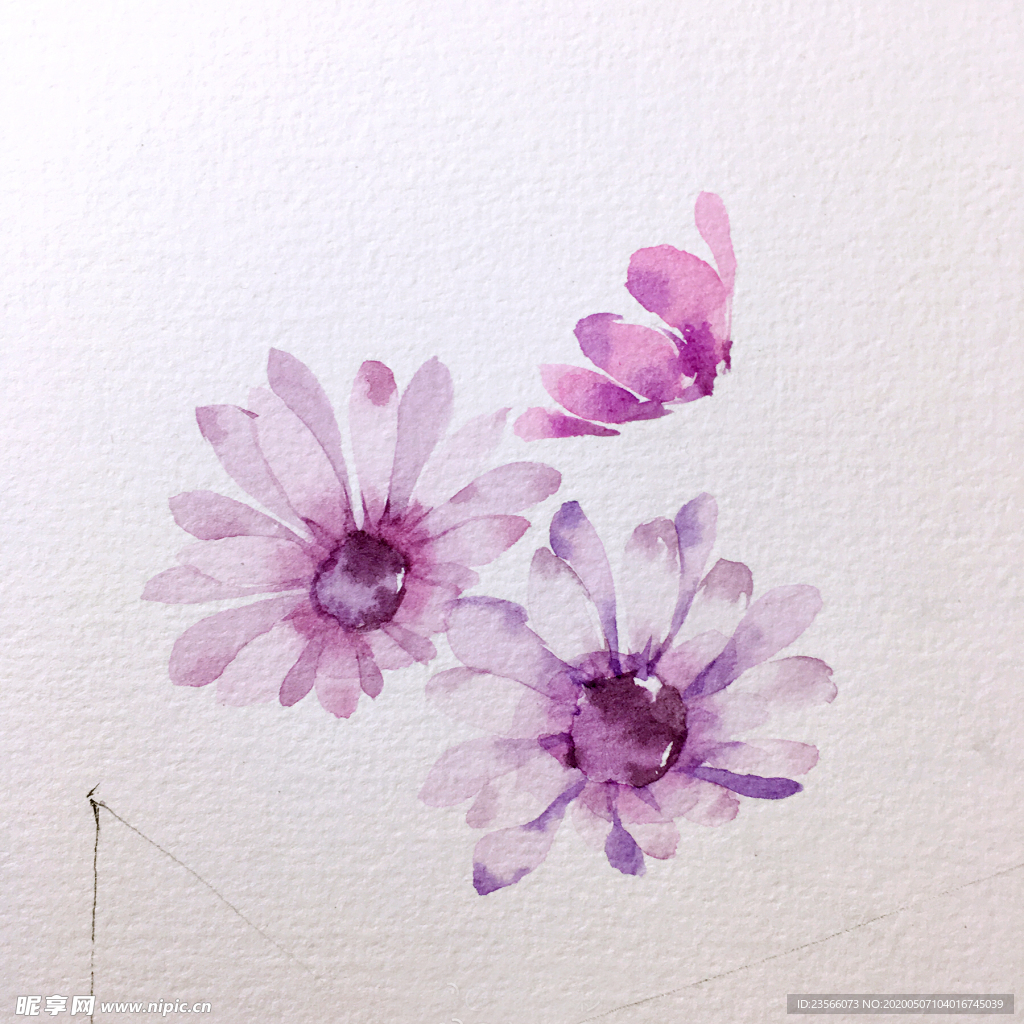 水彩彩铅绘画植物花朵