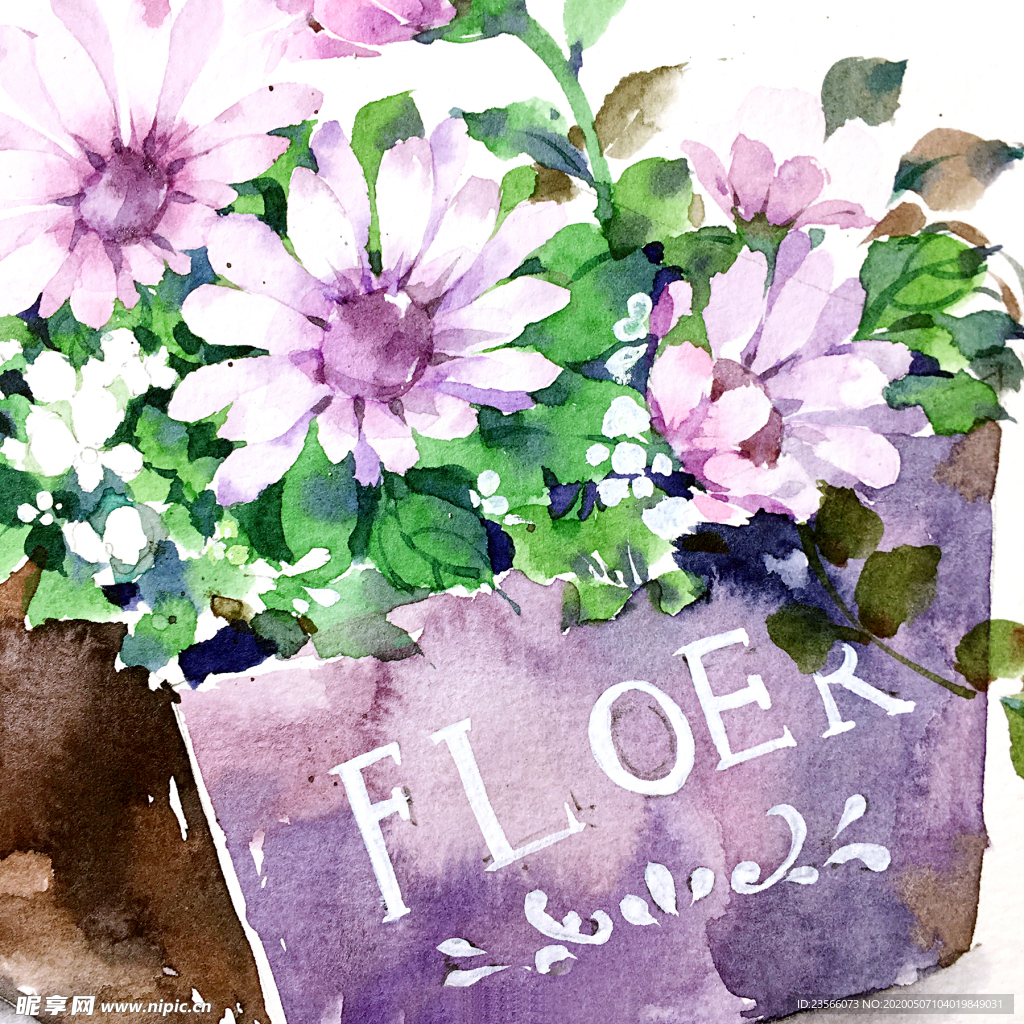 水彩彩铅绘画植物花朵