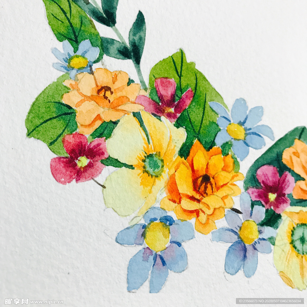 水彩彩铅绘画植物花朵