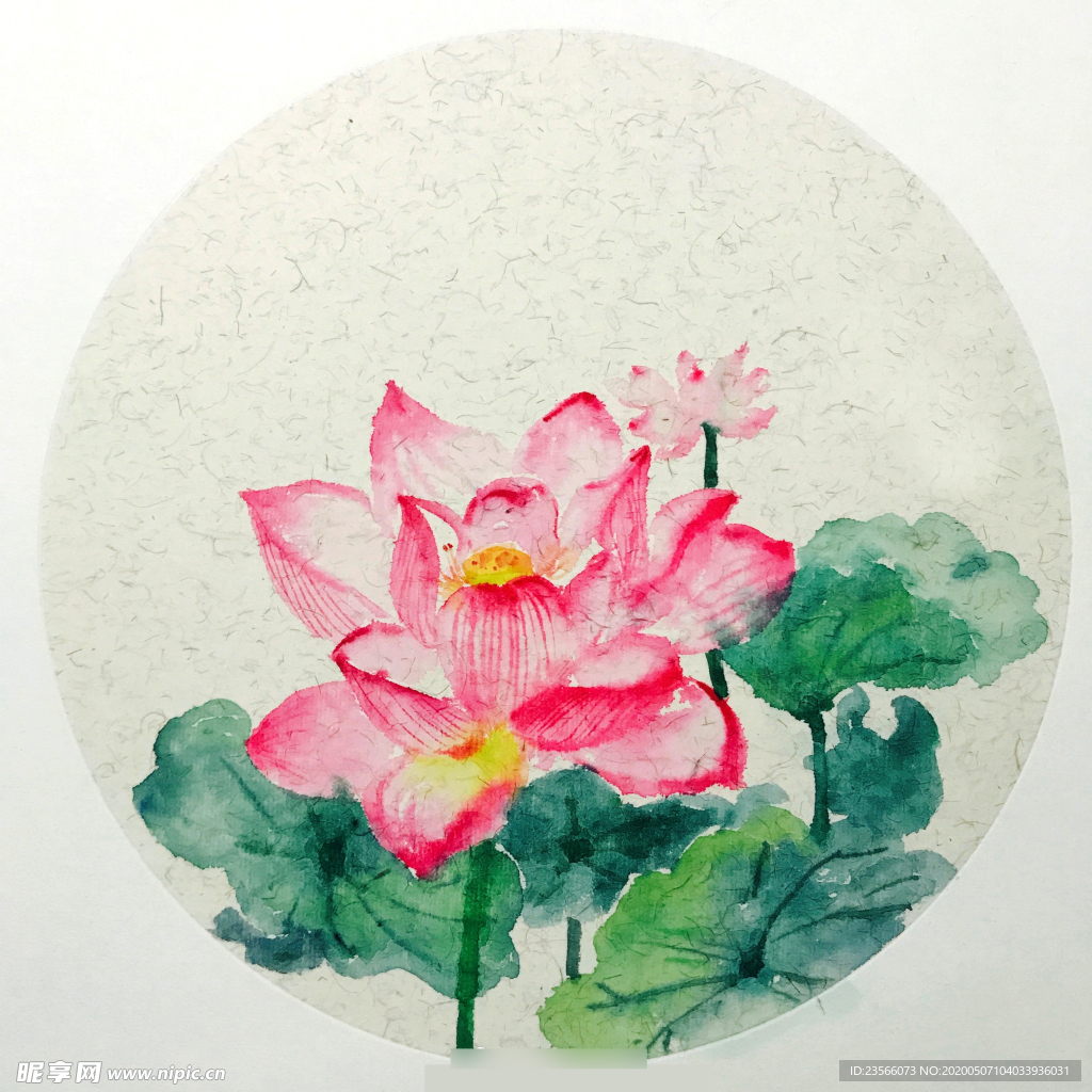 水彩彩铅绘画植物花朵