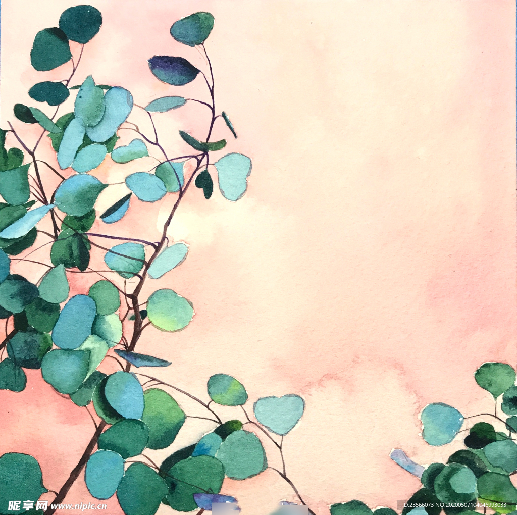 水彩彩铅绘画植物花朵