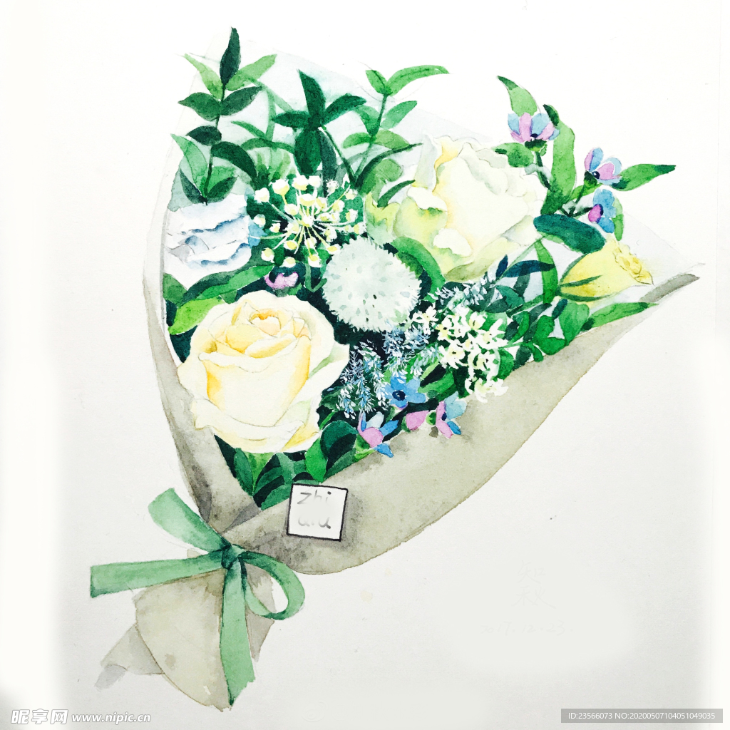 水彩彩铅绘画植物花朵