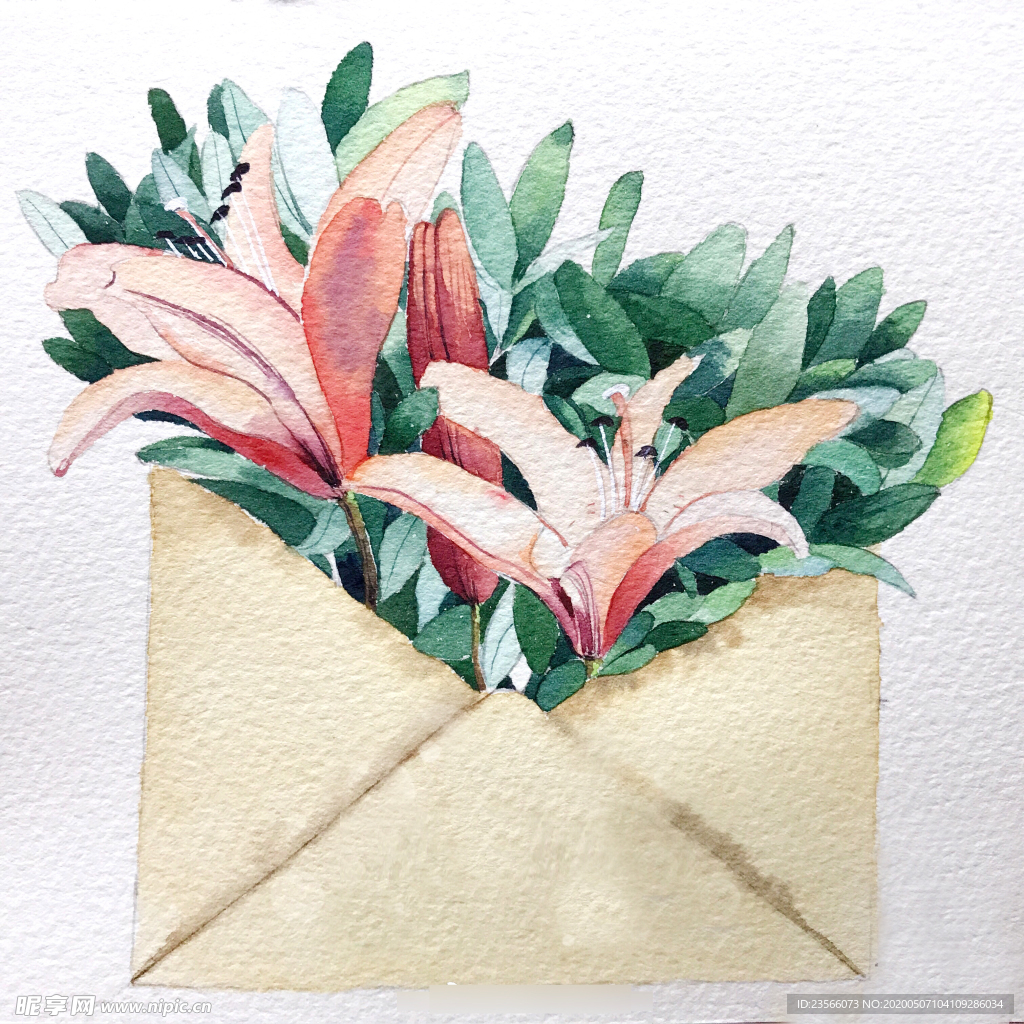 水彩彩铅绘画植物花朵