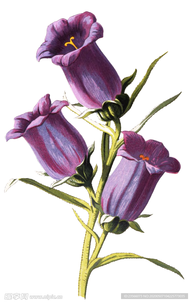 复古花朵植物图案