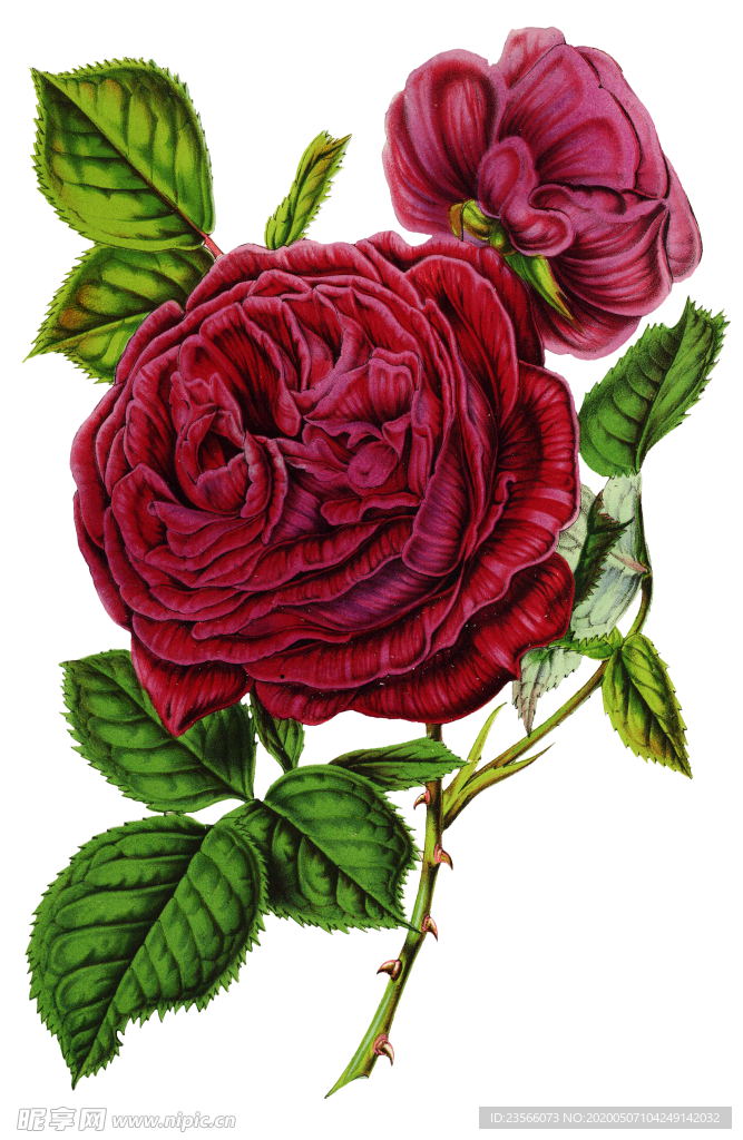 复古花朵植物图案