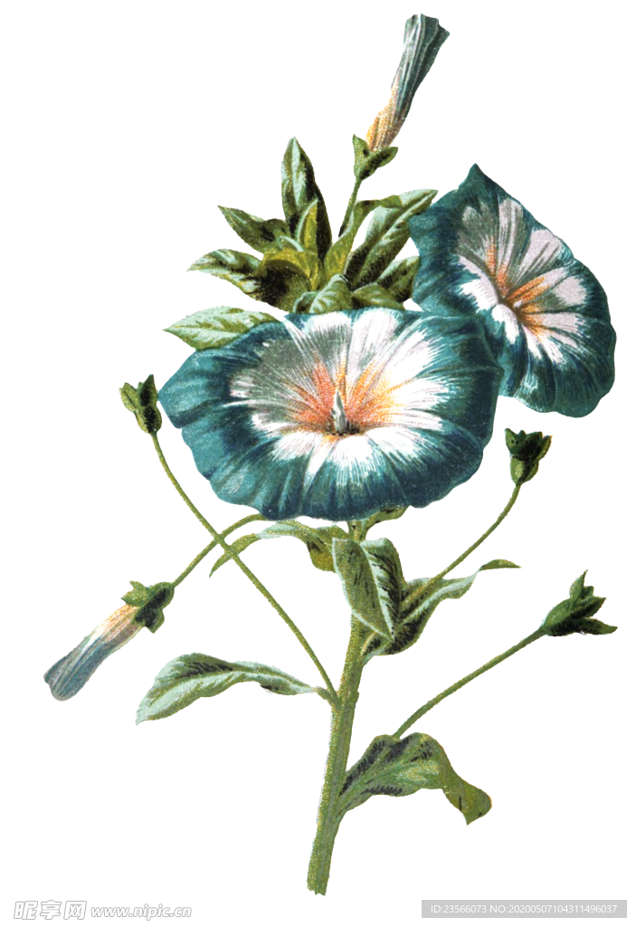 复古花朵植物图案