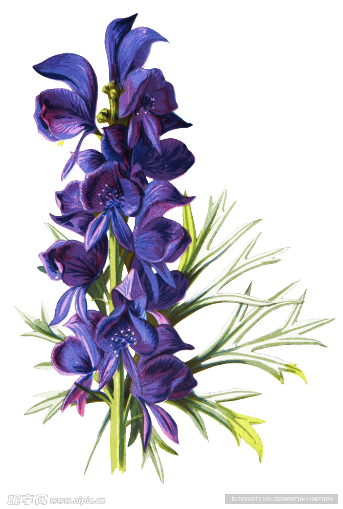 复古花朵植物图案