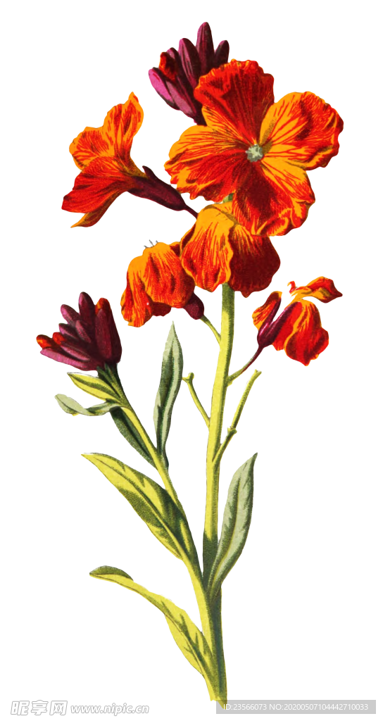 复古花朵植物图案