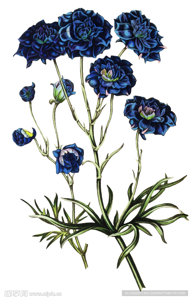 复古花朵植物图案