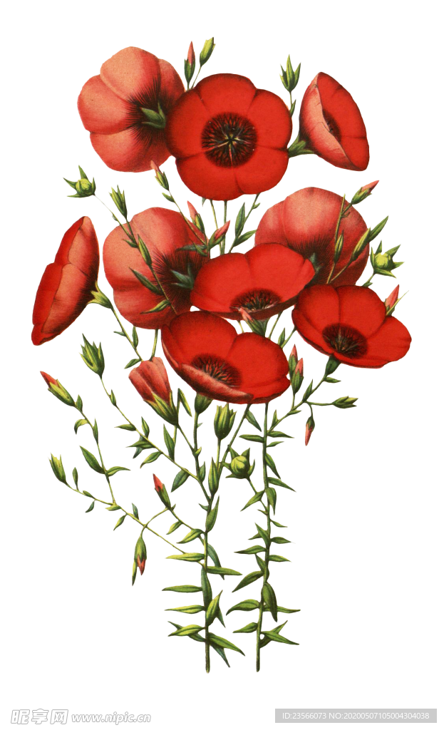 复古花朵植物图案