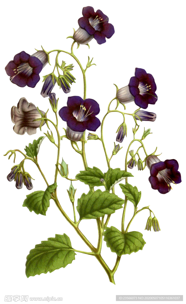 复古花朵植物图案