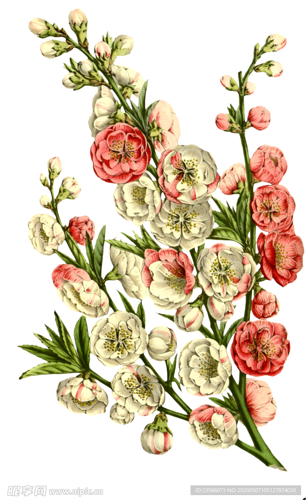 复古花朵植物图案