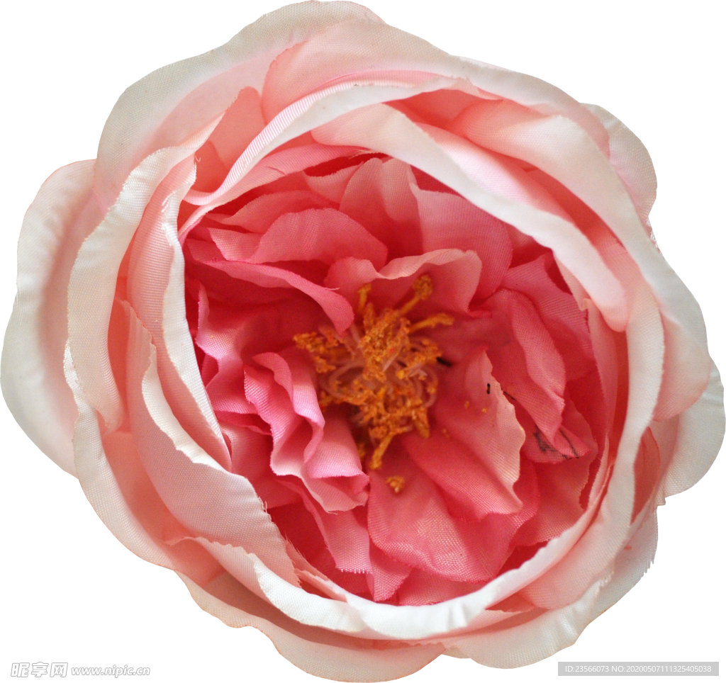 复古花朵植物图案