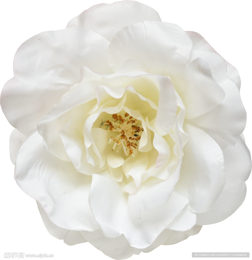 复古花朵植物图案