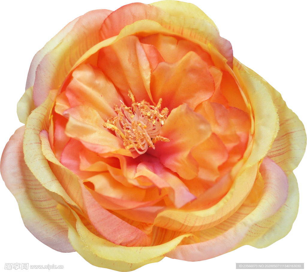 复古花朵植物图案