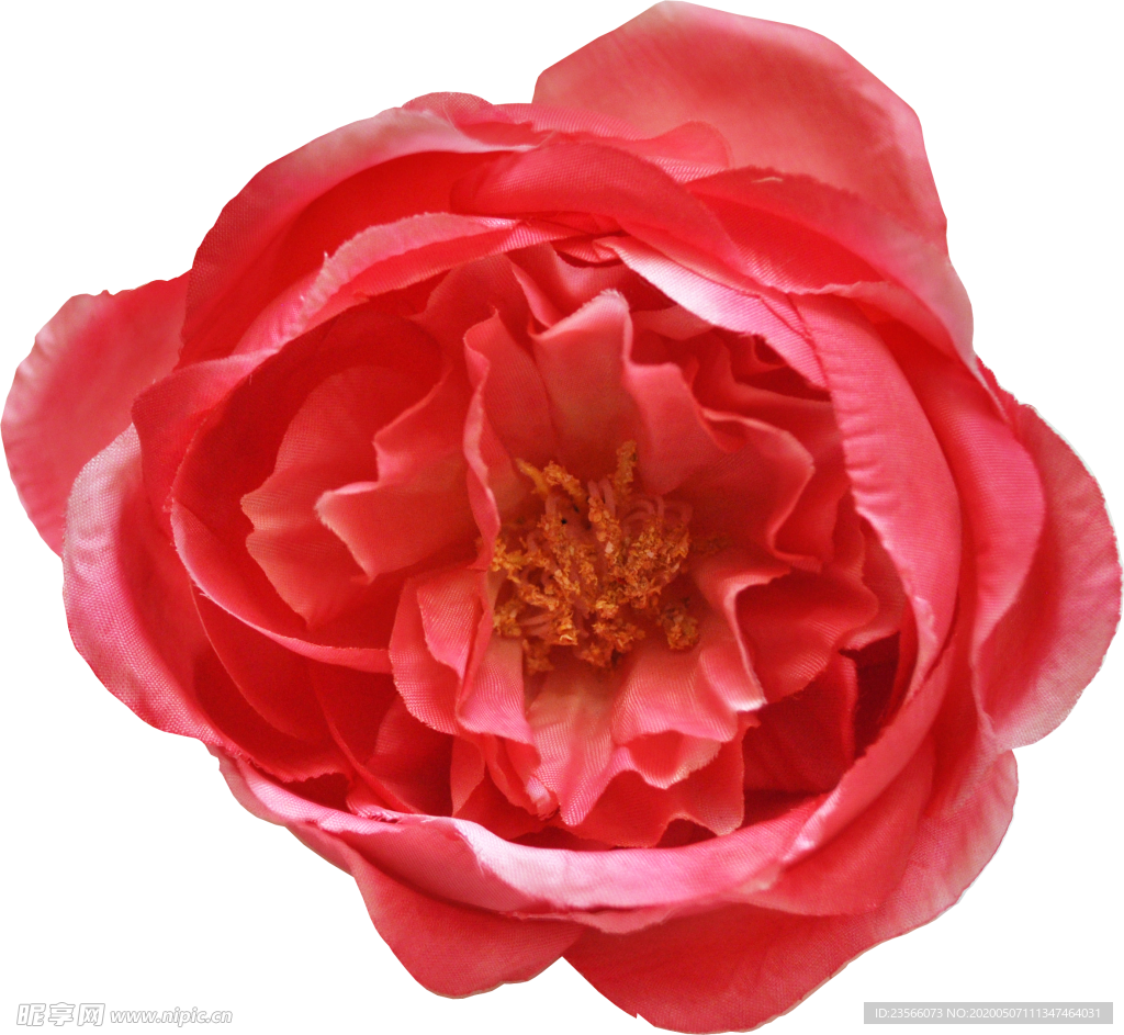 复古花朵植物图案