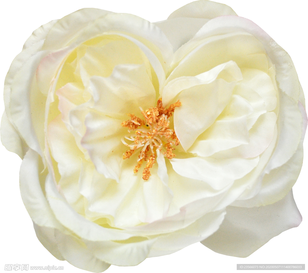 复古花朵植物图案