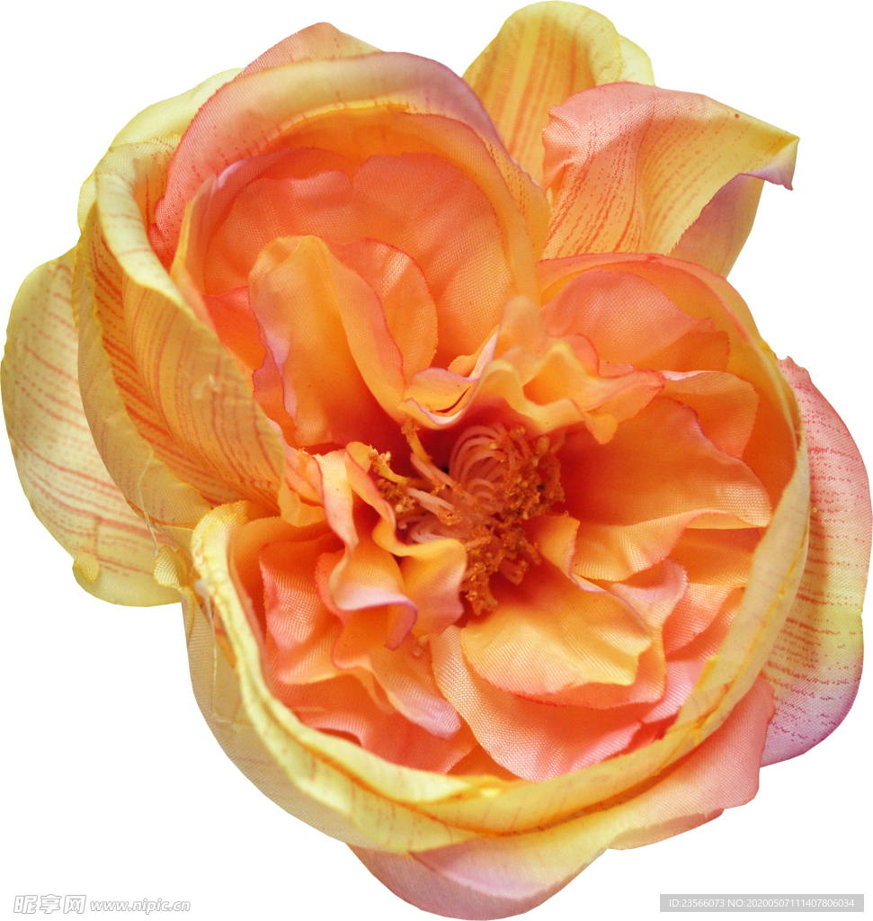 复古花朵植物图案