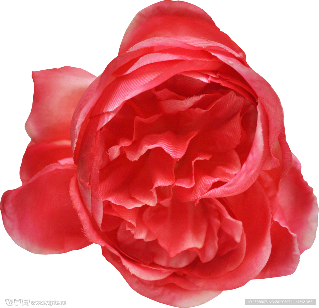 复古花朵植物图案