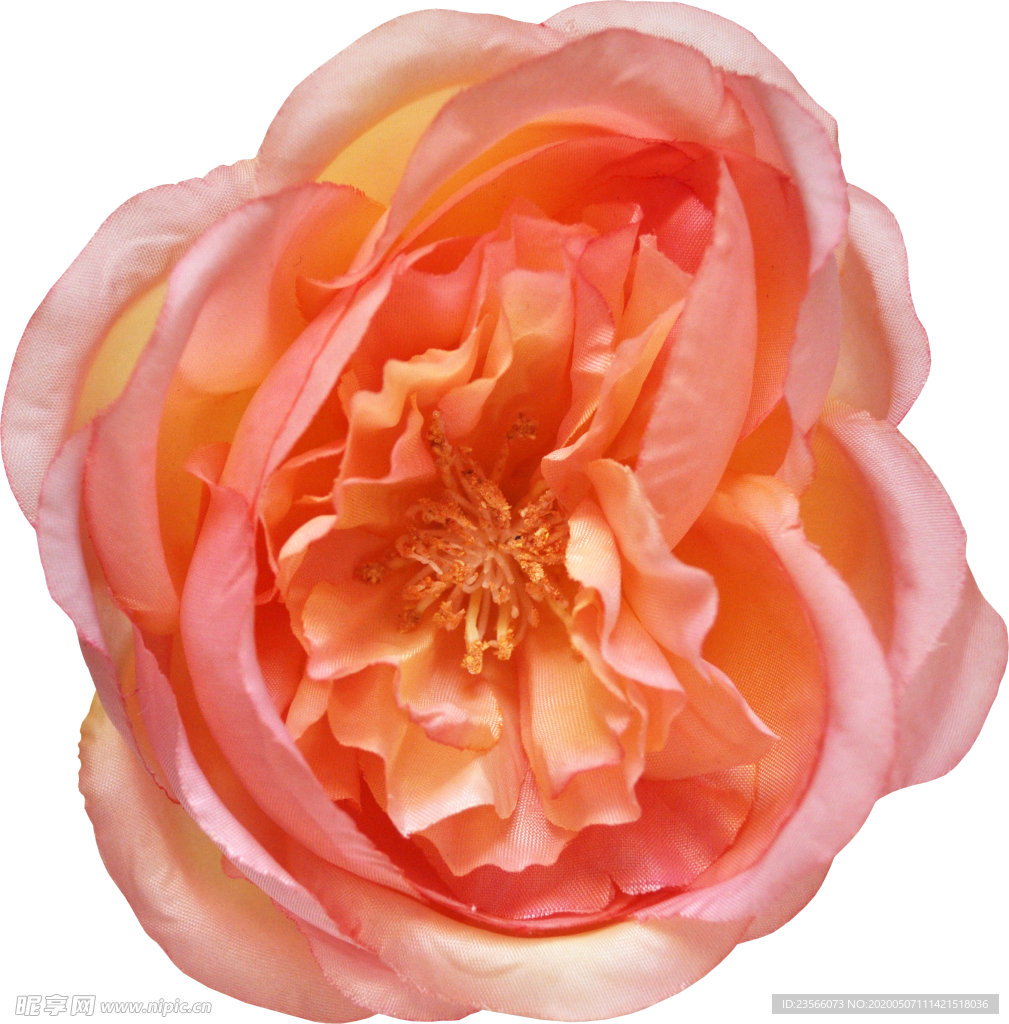 复古花朵植物图案