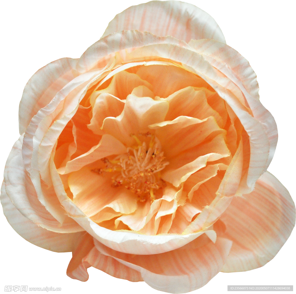 复古花朵植物图案