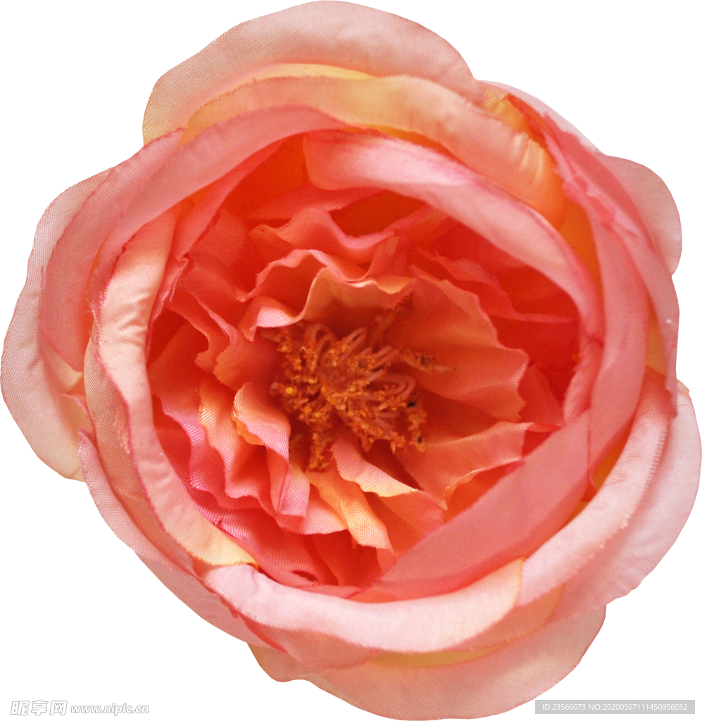 复古花朵植物图案