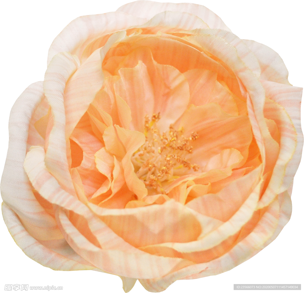 复古花朵植物图案