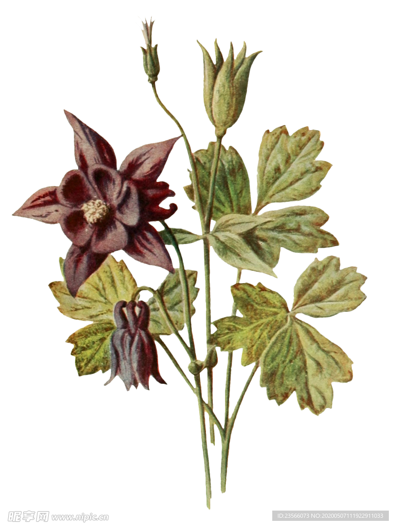 复古花朵植物图案