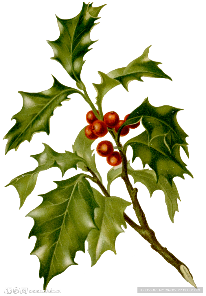 复古花朵植物图案