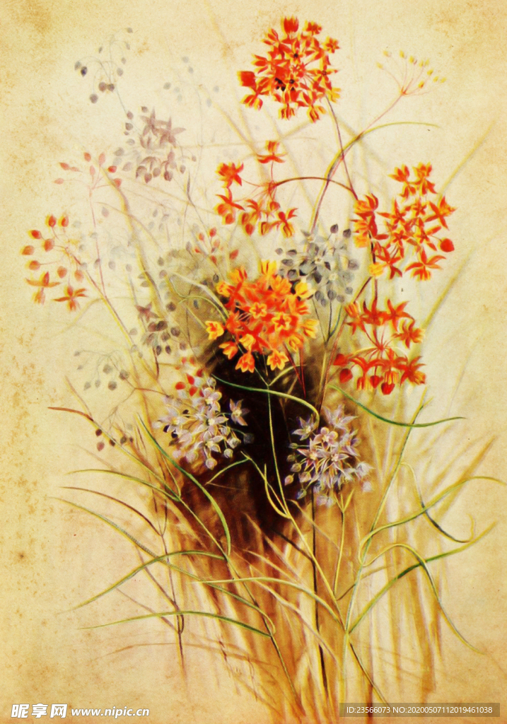 复古鲜花植物装饰画