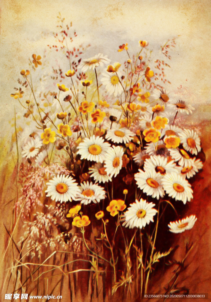 复古鲜花植物装饰画