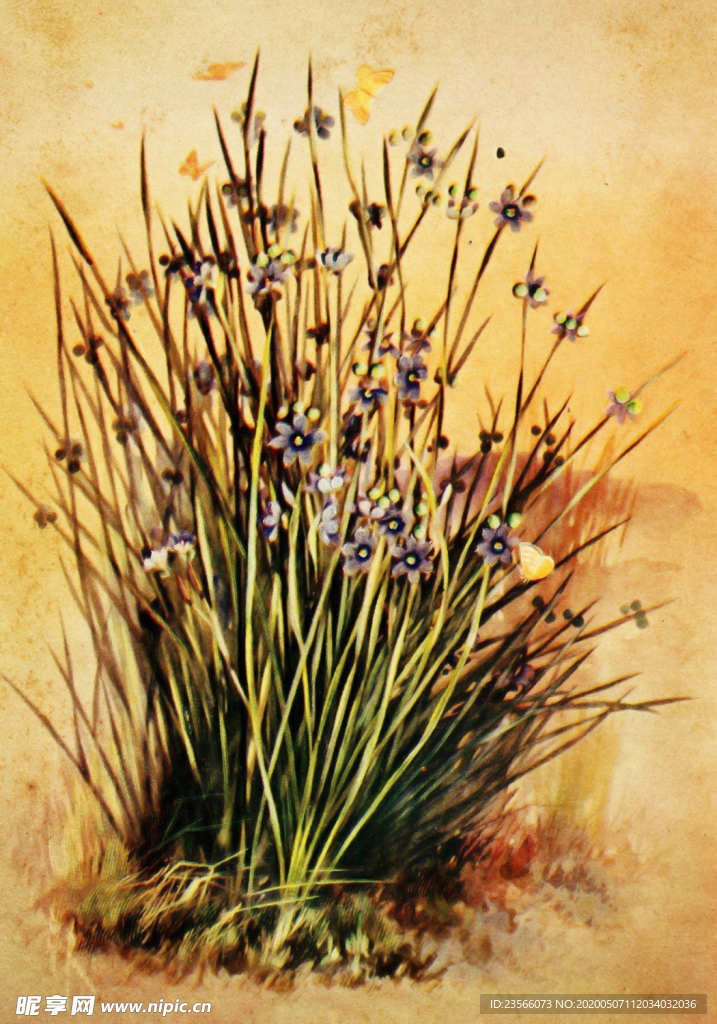 复古鲜花植物装饰画