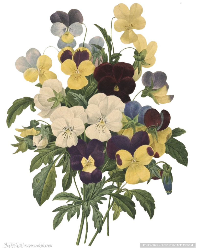 复古鲜花植物装饰图案