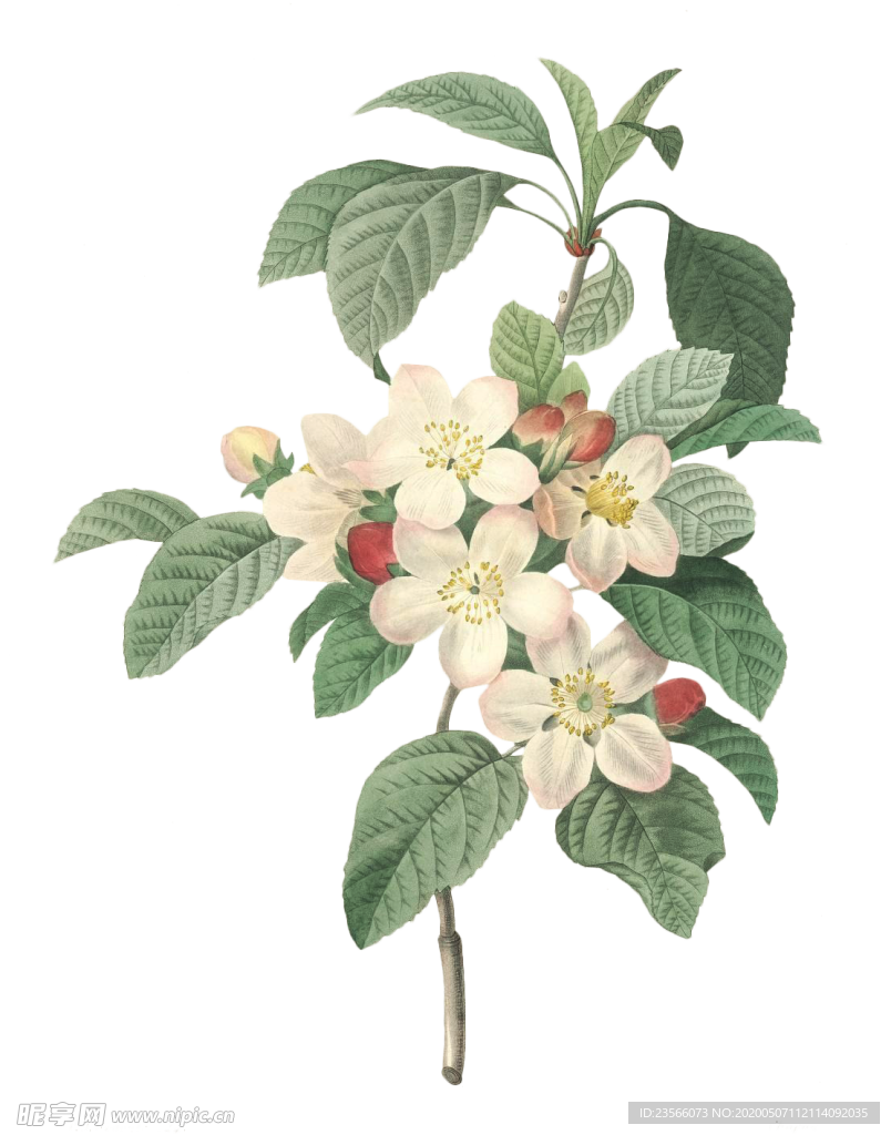 复古鲜花植物装饰图案