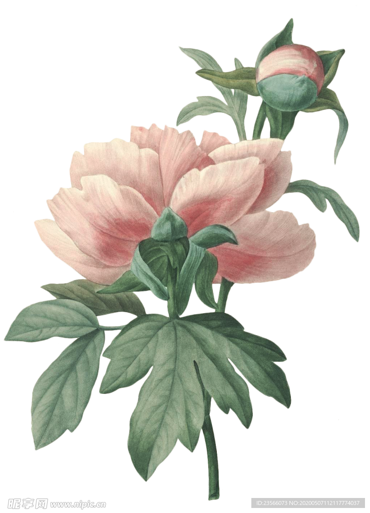 复古鲜花植物装饰图案