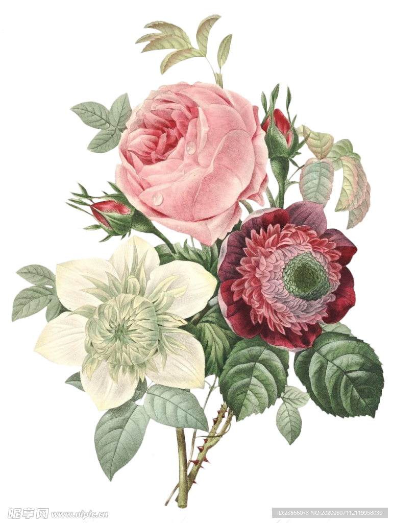 复古鲜花植物装饰图案