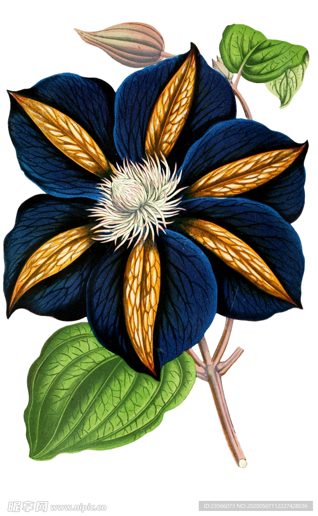 复古鲜花植物装饰图案