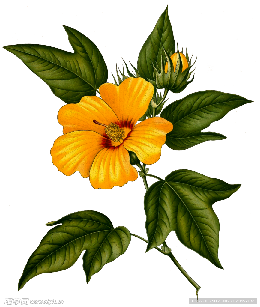 复古鲜花植物装饰图案