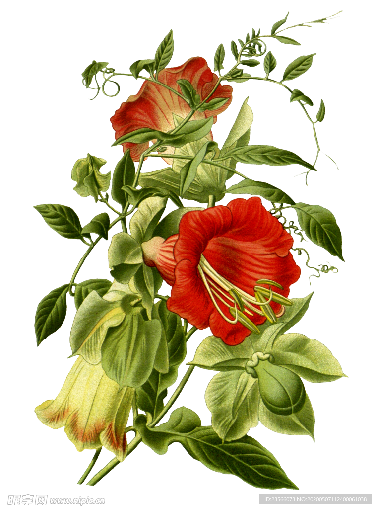 复古鲜花植物装饰图案