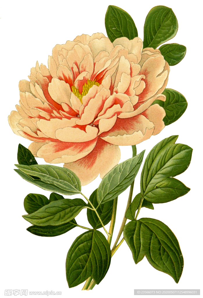 复古鲜花植物装饰图案