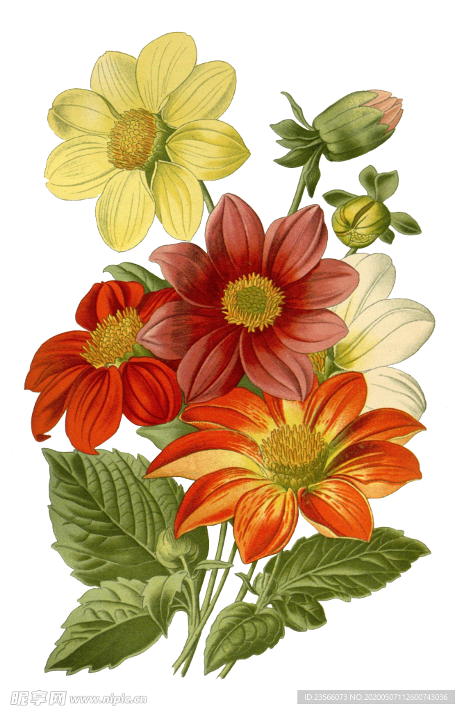 复古鲜花植物装饰图案