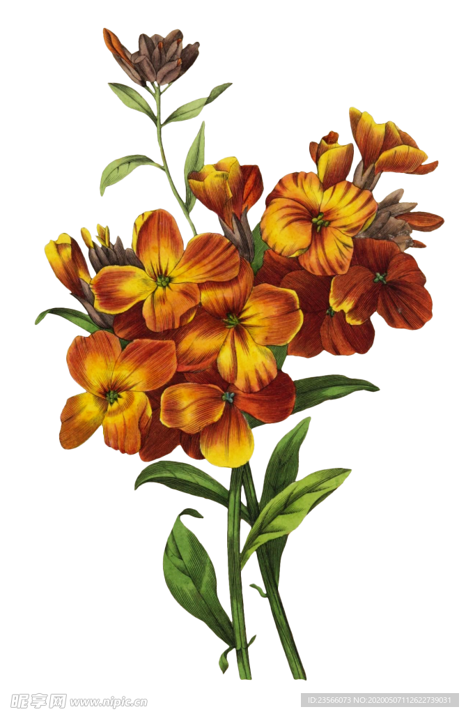 复古鲜花主题装饰图案